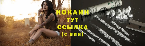ПСИЛОЦИБИНОВЫЕ ГРИБЫ Аркадак