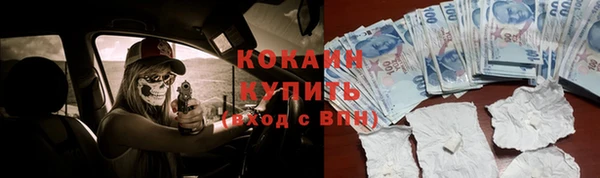 ПСИЛОЦИБИНОВЫЕ ГРИБЫ Аркадак