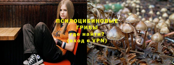 трава Арсеньев