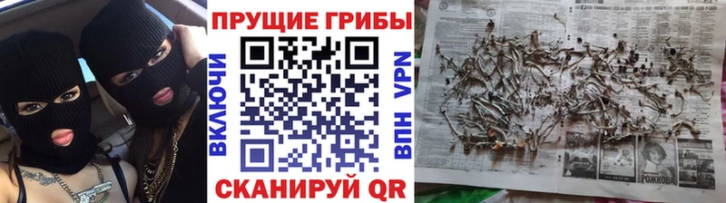 Галлюциногенные грибы Cubensis  MEGA как зайти  Сольвычегодск 
